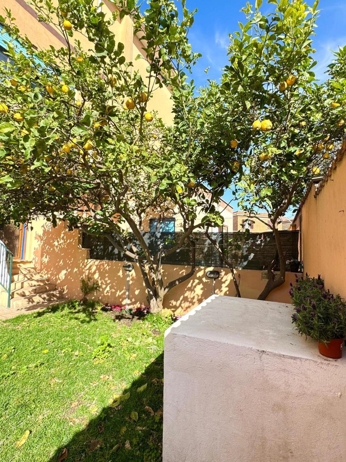 Mareporto House Appartement Fiumicino Buitenkant foto